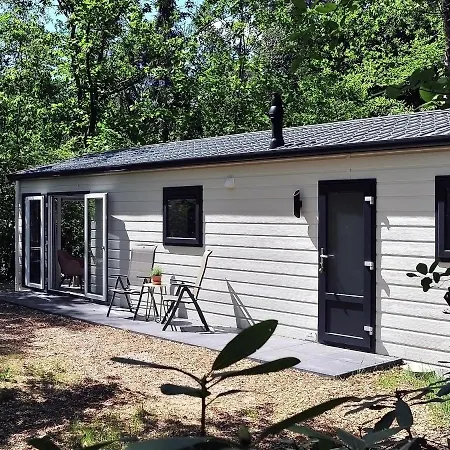 Cantharel Veluwe *